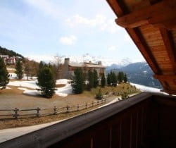 Chalet Olympus-Exterior views