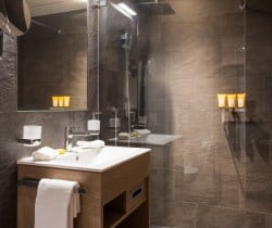 Chalet Apartment Erika-Bathroom