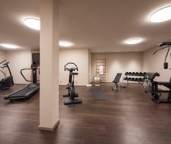 Chalet Apartment Erika-Fitness room