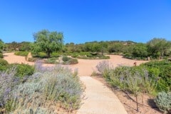 Villa-Salina-Garden