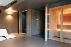 Villa Aurea-Spa area