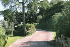 Villa Aurea-Garden